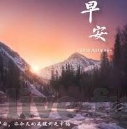 人妻无码一区二区视频-人妻无码一区二区视频,网络世界的灰色地带与道德边界